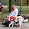 dog walk 2013-5123